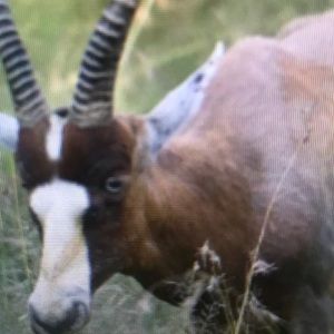 Meet your Posher, Raelynn